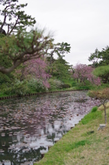 三溪園_53