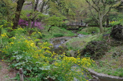 三溪園_28