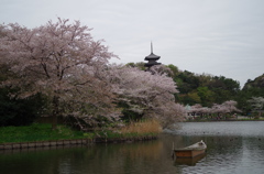 三溪園_03