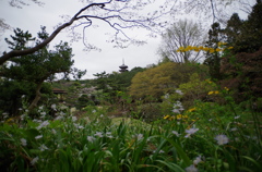 三溪園_16