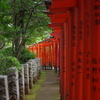 根津神社　2015　春　27