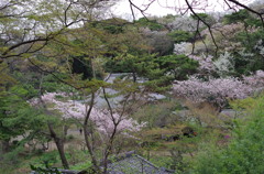三溪園_42