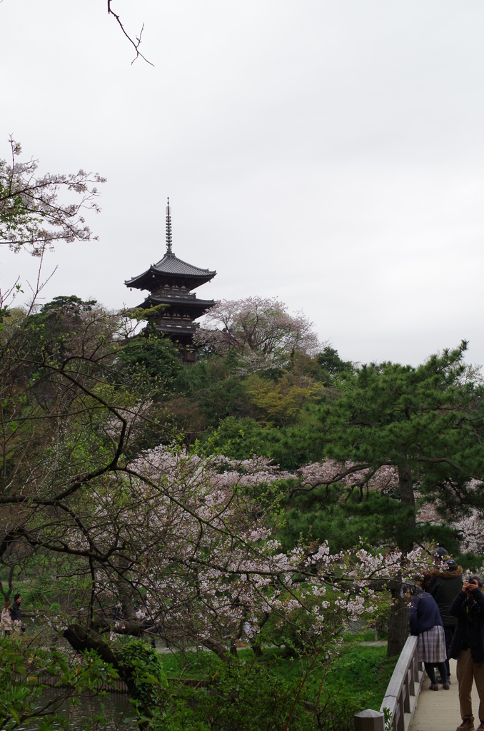 三溪園_60