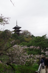 三溪園_60