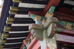 根津神社　2015　春　11