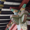 根津神社　2015　春　11