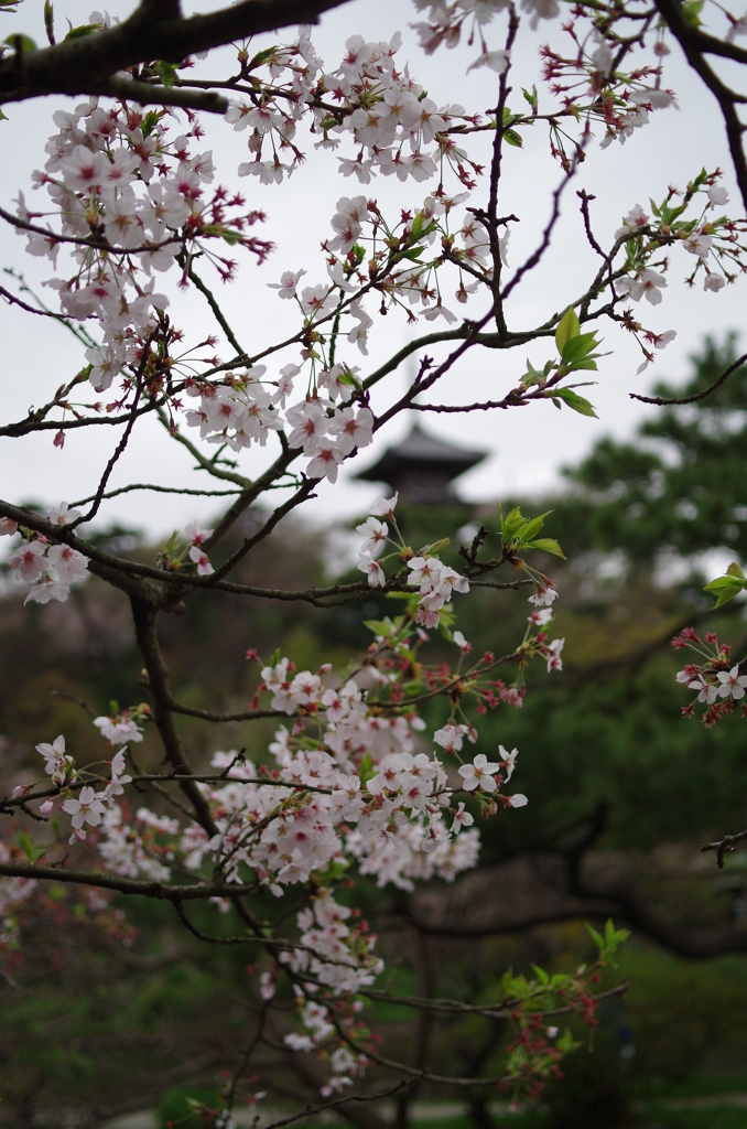 三溪園_62