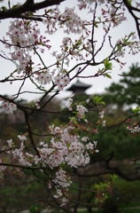 三溪園_62