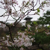 三溪園_62