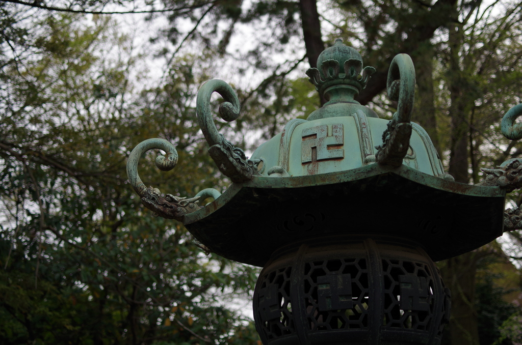 根津神社　2015　春　21