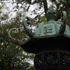 根津神社　2015　春　21