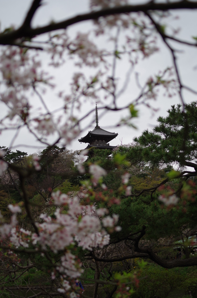 三溪園_61
