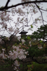 三溪園_61