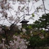 三溪園_61