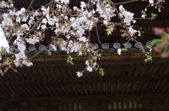 三溪園_44