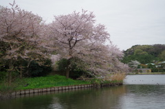 三溪園_01