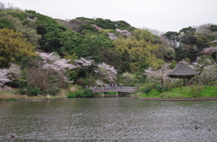 三溪園_55