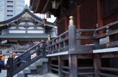 湯島天神梅まつり2015_20