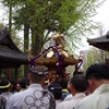 根津神社　2015　春　07