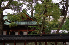 根津神社　2015　春　25
