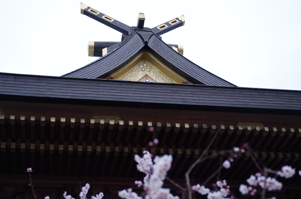 湯島天神梅まつり2015_19