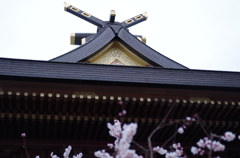 湯島天神梅まつり2015_19