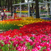 I国営ひたち海浜公園_2015_02