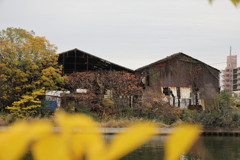 中川運河沿いで
