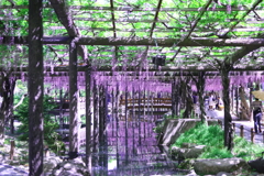愛知県津島市の天王寺公園で撮影しました