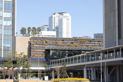 名古屋駅の側
