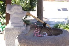三輪神社
