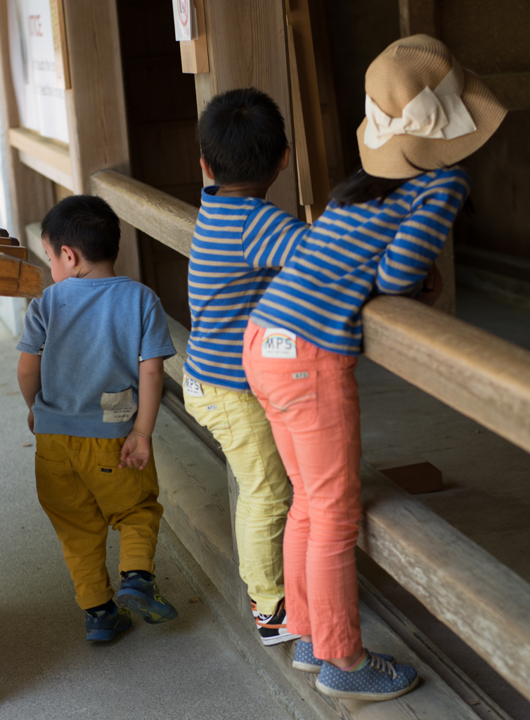お馬さんこっち