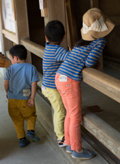 お馬さんこっち