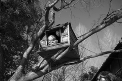 おい、きたろう