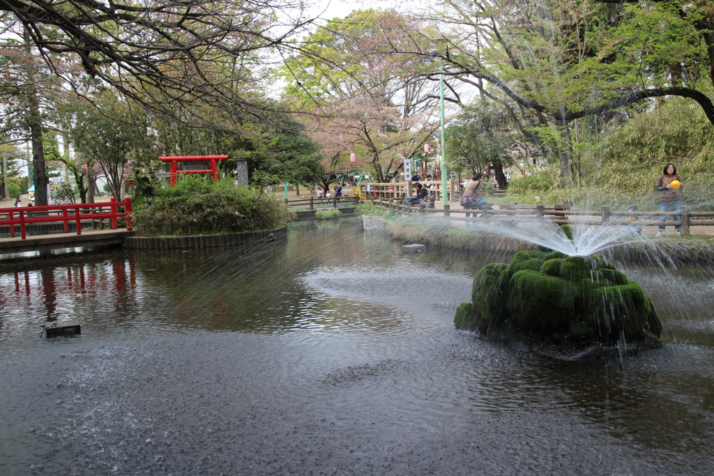 与野公園の噴水