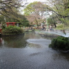 与野公園の噴水