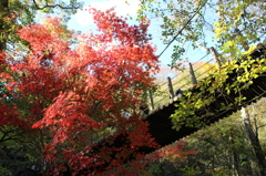 花貫渓谷・紅葉②