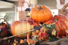 Halloween Pumpkin