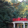 自然の中の紅一点