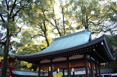 境内の上も見てみよう