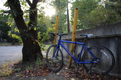 愛車と枯葉と夕暮れ時