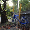 愛車と枯葉と夕暮れ時
