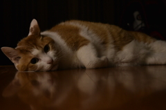 んにゃ