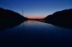CSC_0041