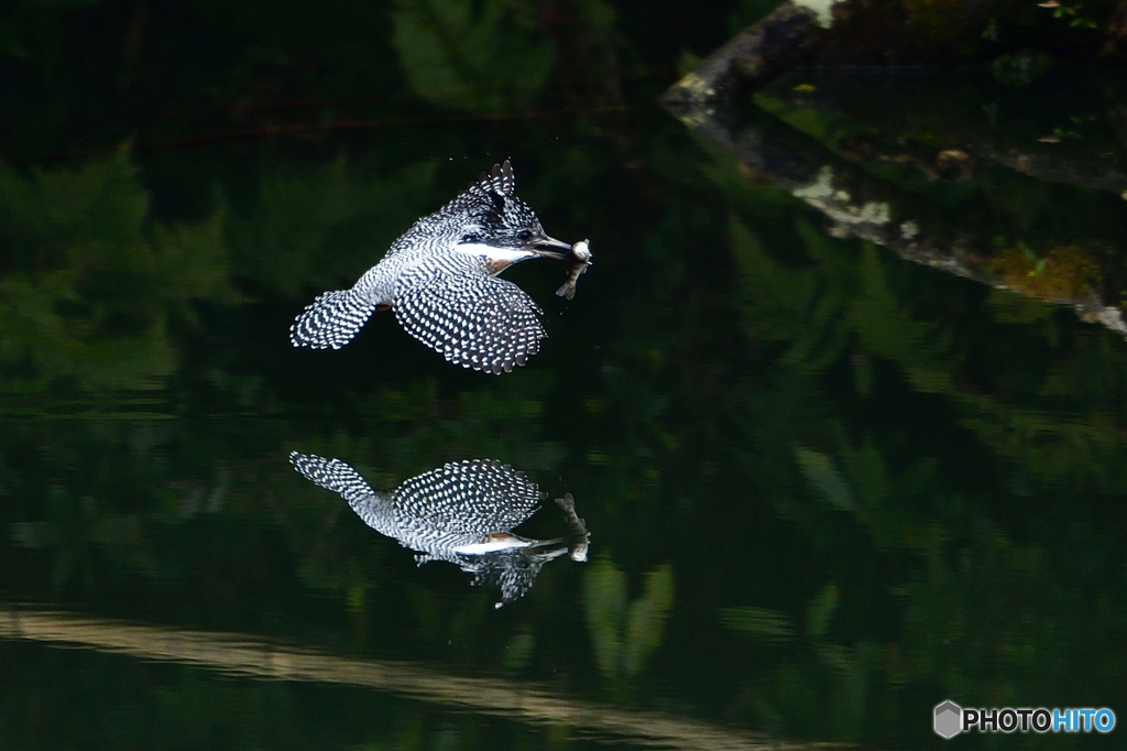 水鏡 Ⅱ