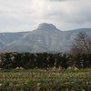 南フランスの有名な山（Garlaban）