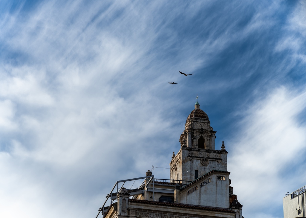 fly away