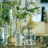 spring on the table