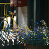 Objet