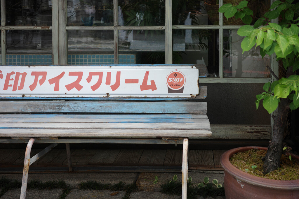 SNOW Bland / 晩夏